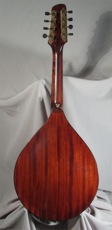 laughlin mandolin